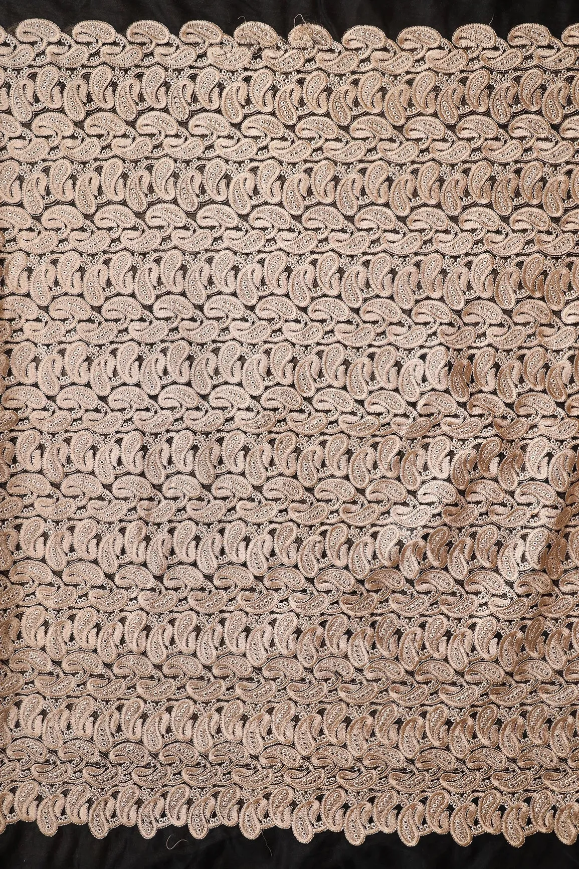 Beige Thread With Gold Zari Heavy Paisley Embroidery On Black Soft Net Fabric