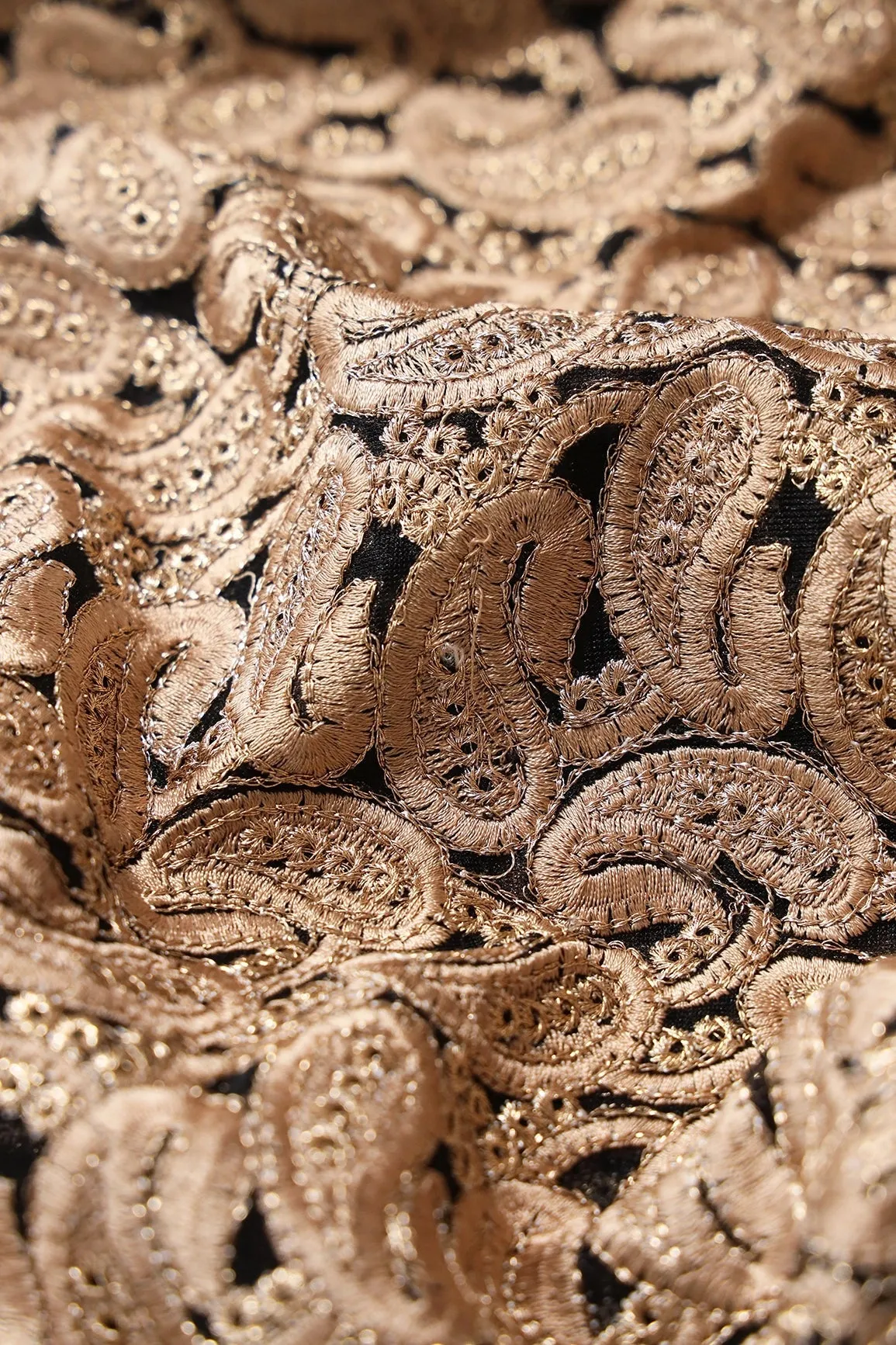 Beige Thread With Gold Zari Heavy Paisley Embroidery On Black Soft Net Fabric