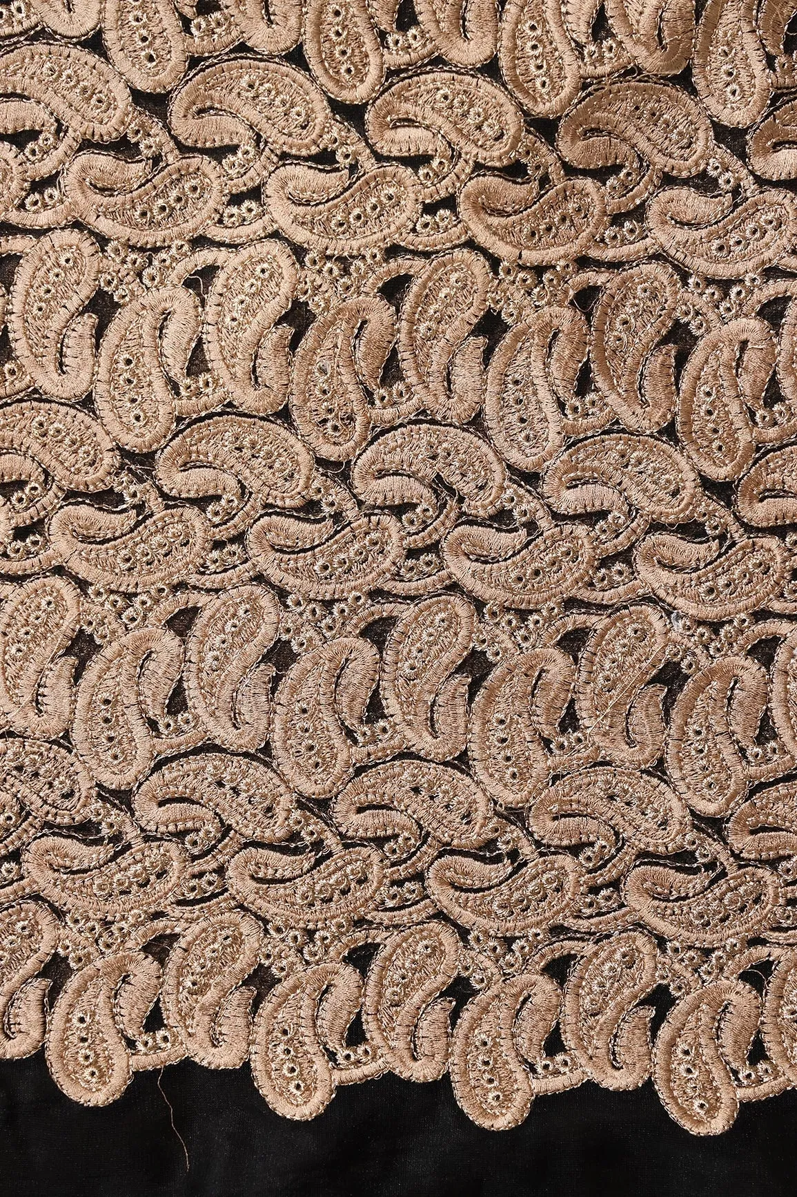 Beige Thread With Gold Zari Heavy Paisley Embroidery On Black Soft Net Fabric