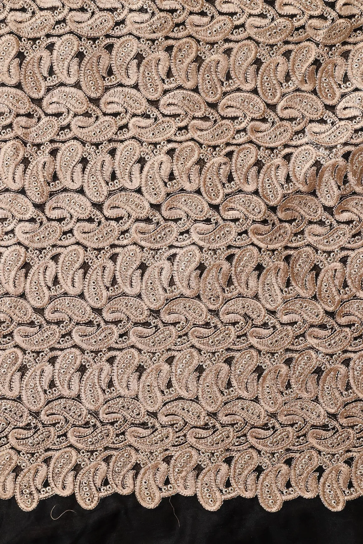 Beige Thread With Gold Zari Heavy Paisley Embroidery On Black Soft Net Fabric