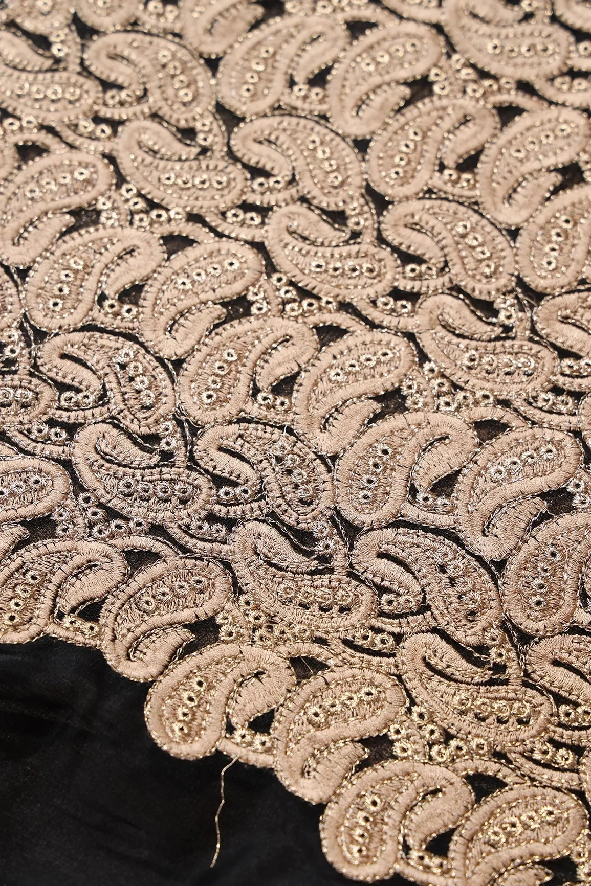 Beige Thread With Gold Zari Heavy Paisley Embroidery On Black Soft Net Fabric