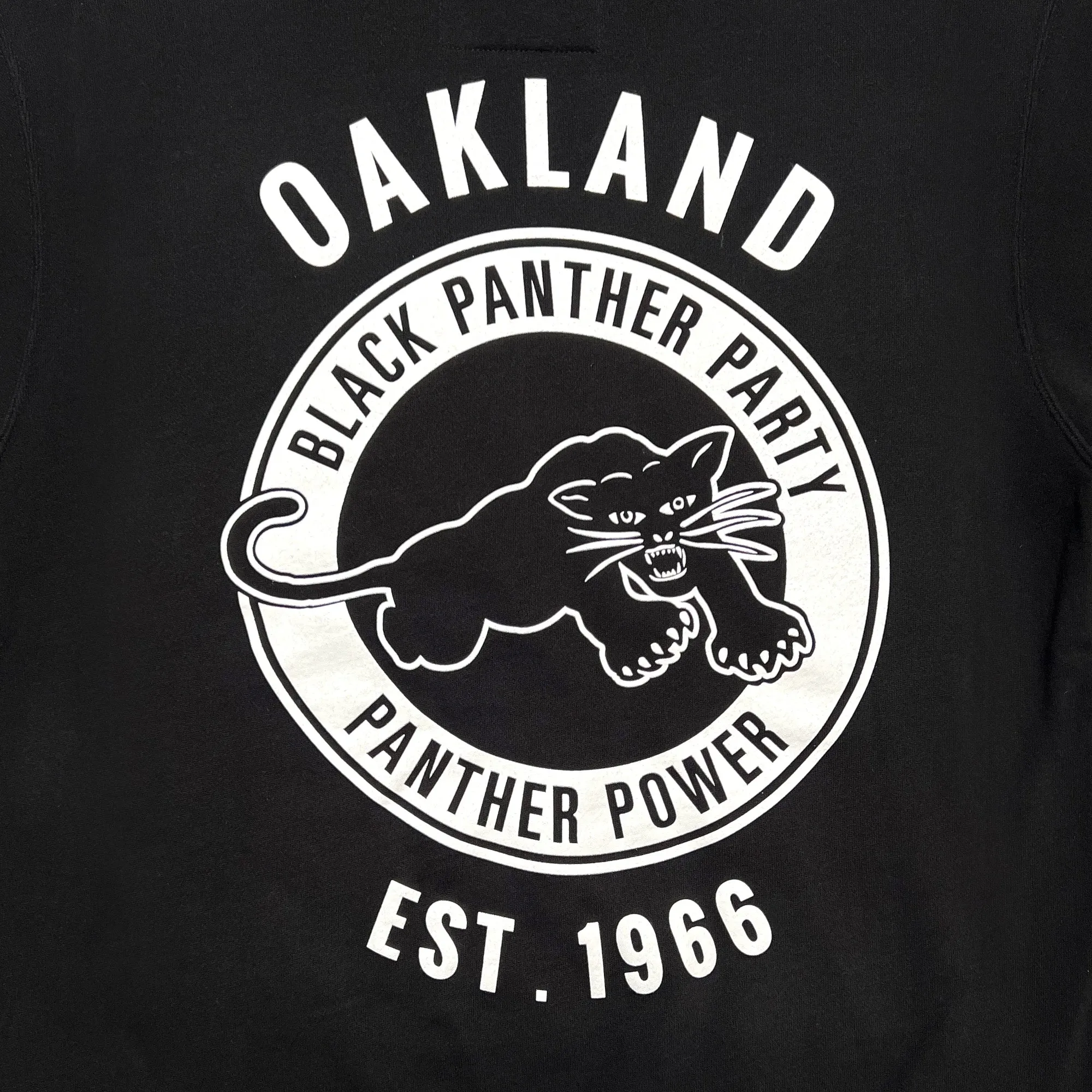 Black Panther Power Hoodie