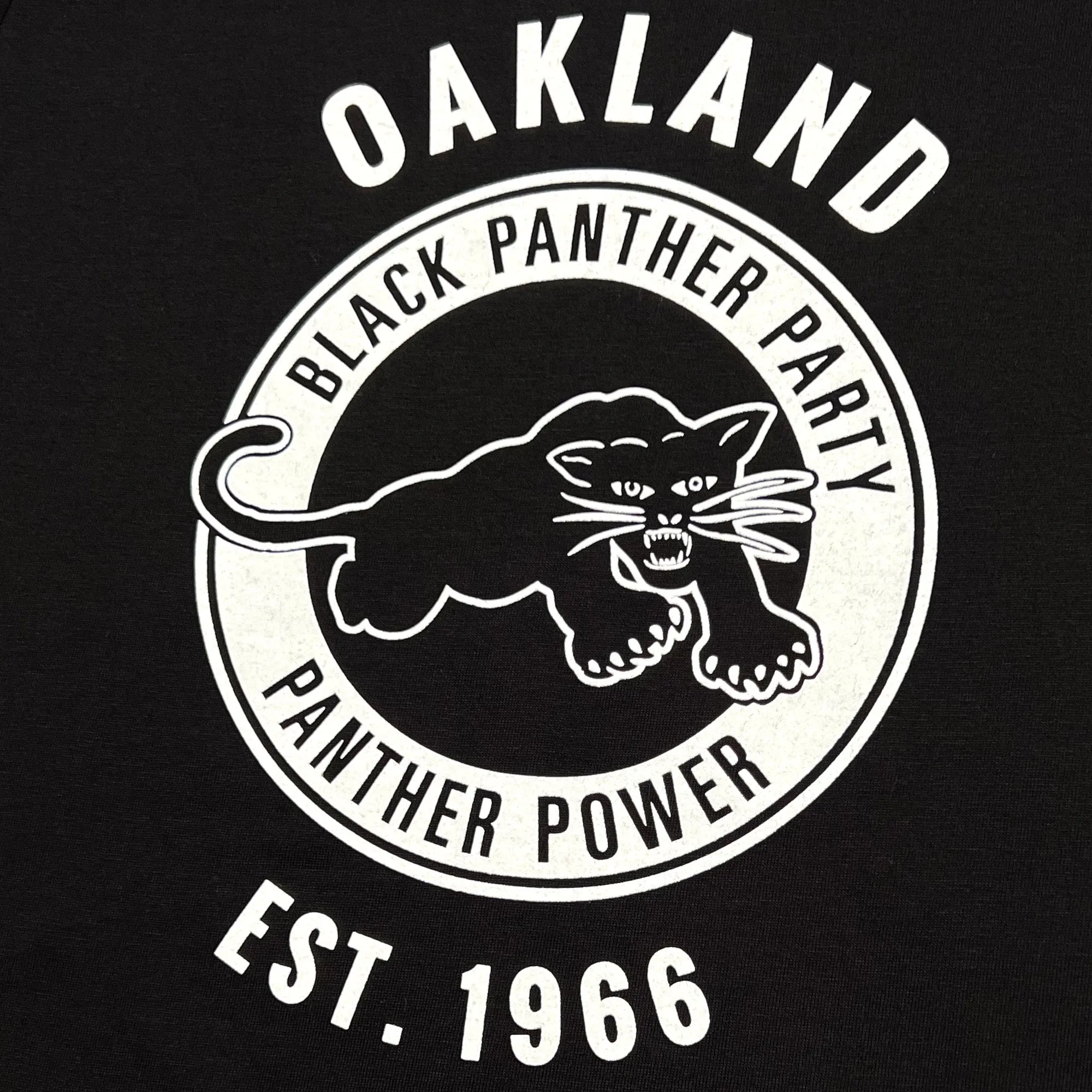 Black Panther Power LS Tee