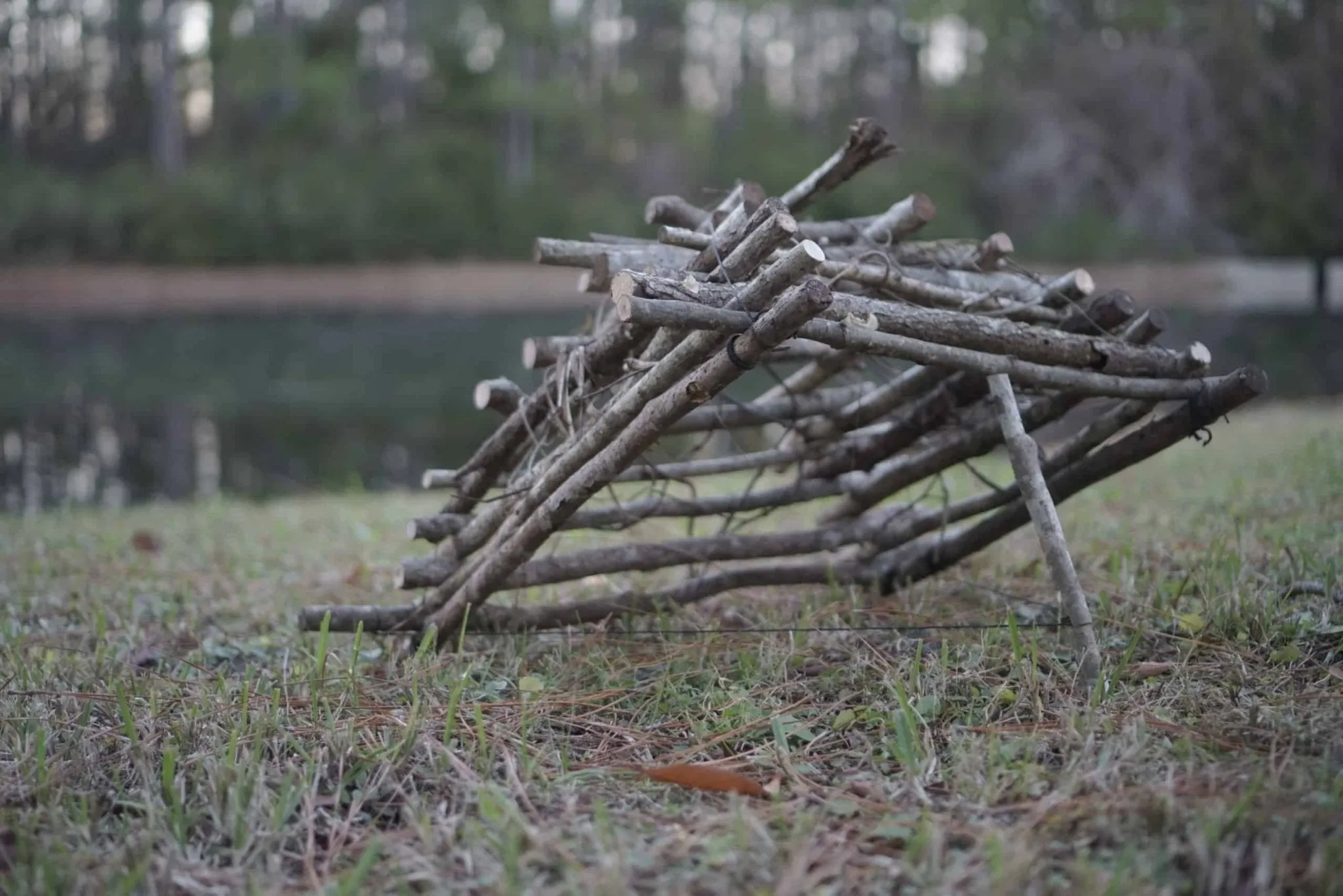 Bushcraft Skills Course