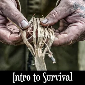 Intro to Survival